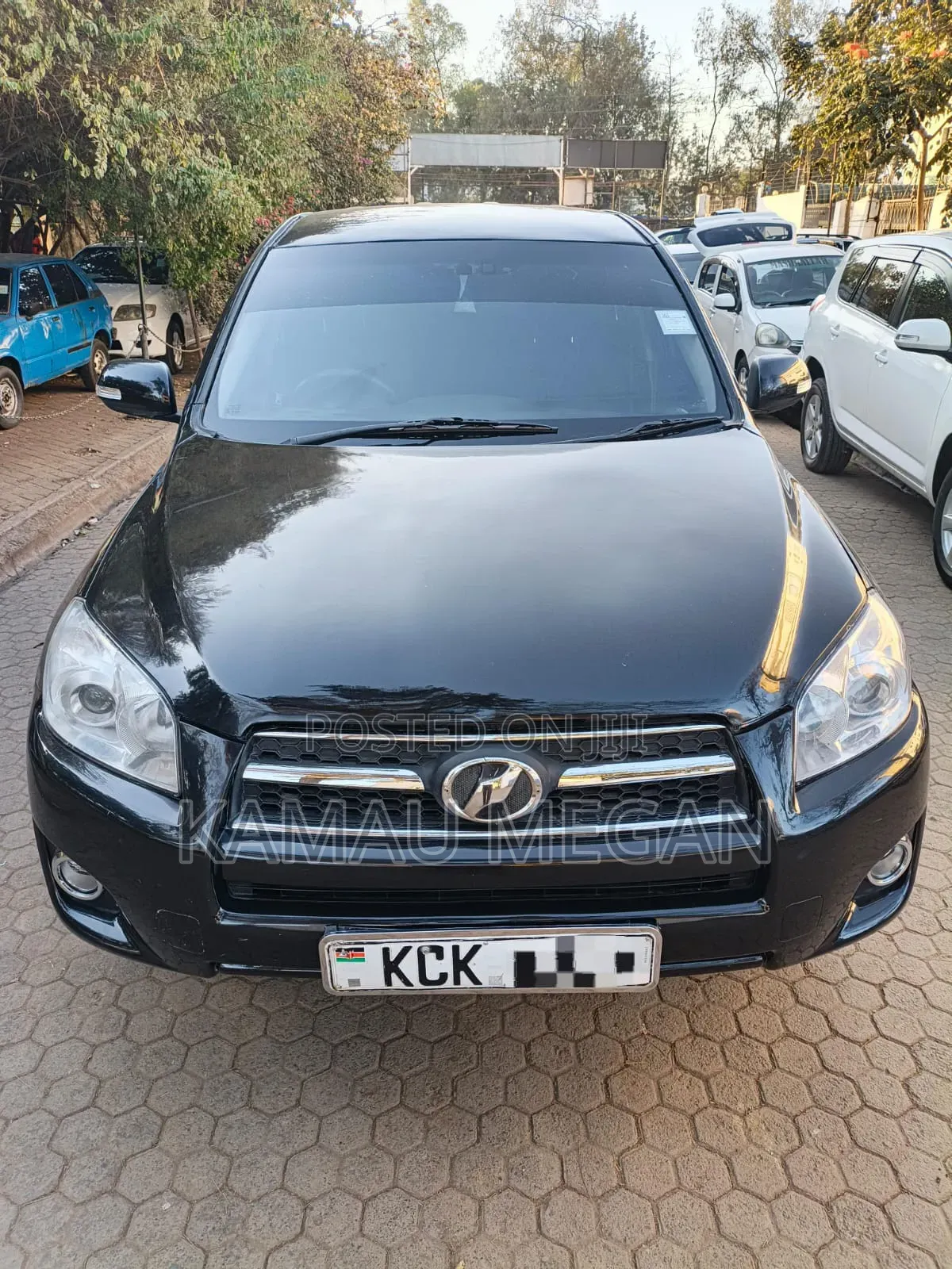 Toyota RAV4 2010 Matt Black