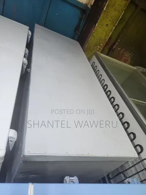 One Big Double Freezer 500litres