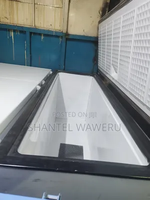 One Big Double Freezer 500litres