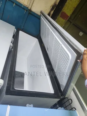 One Big Double Freezer 500litres