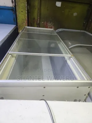 Very Specious Showcase Deep Freezer