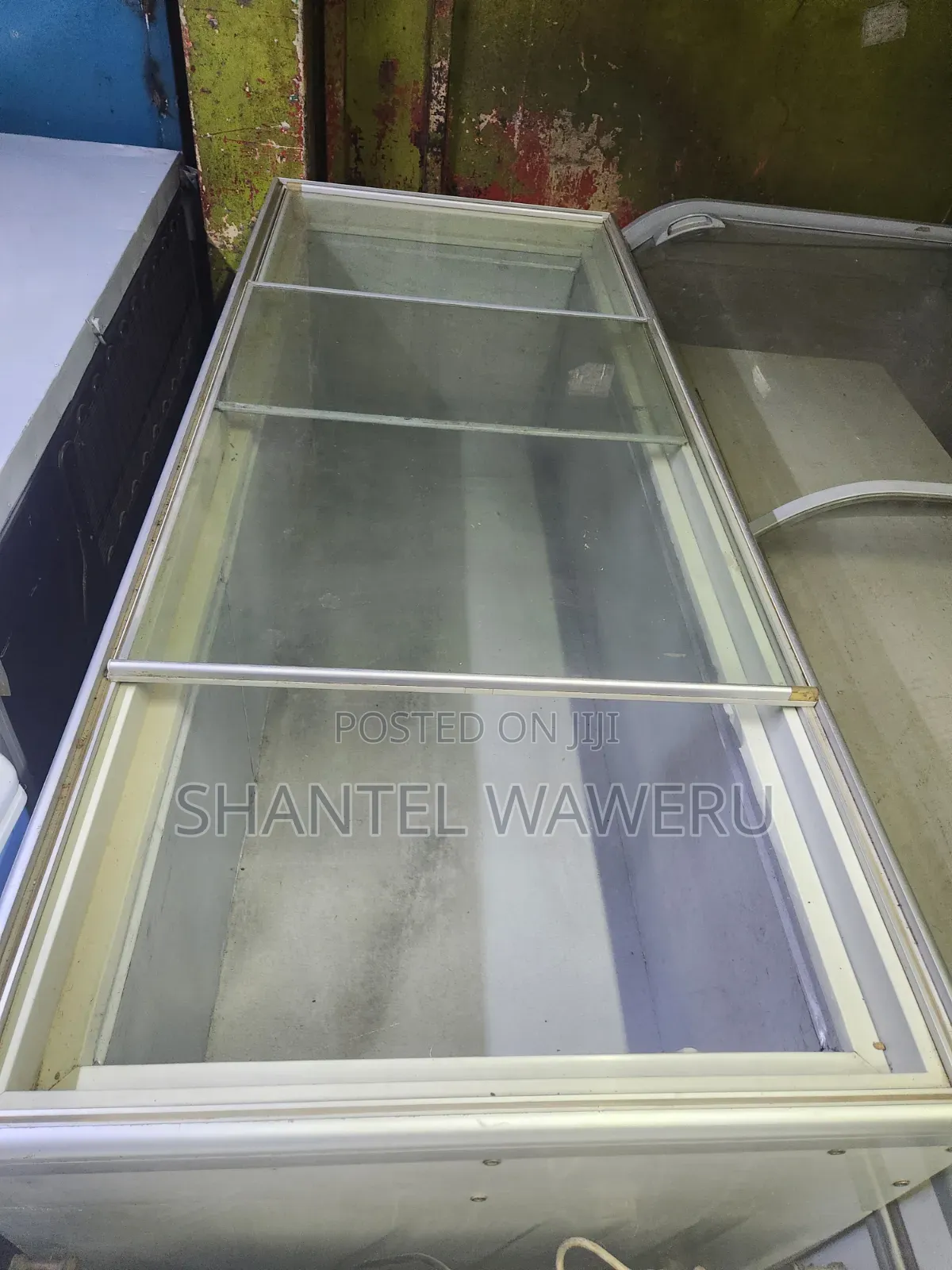 Very Specious Showcase Deep Freezer