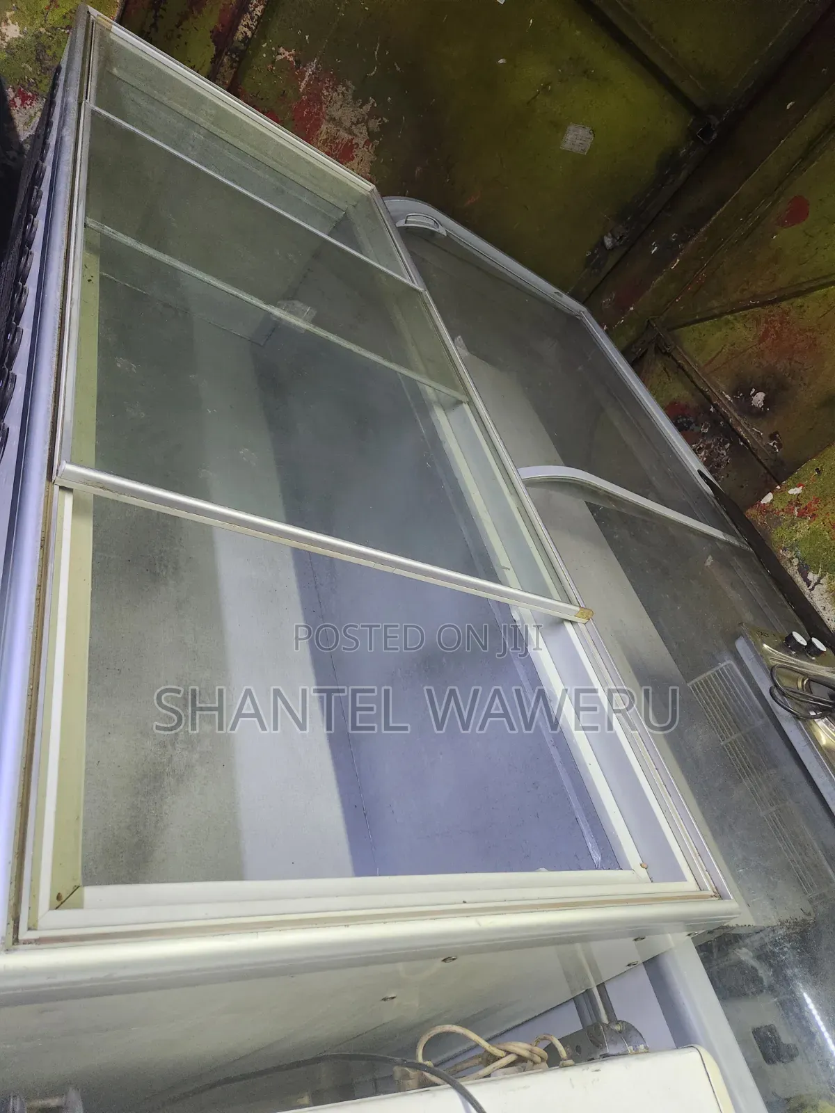 Very Specious Showcase Deep Freezer