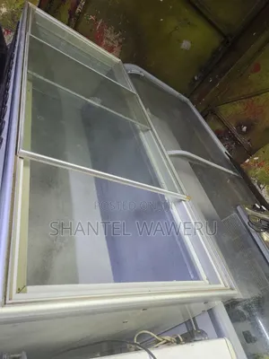 Very Specious Showcase Deep Freezer