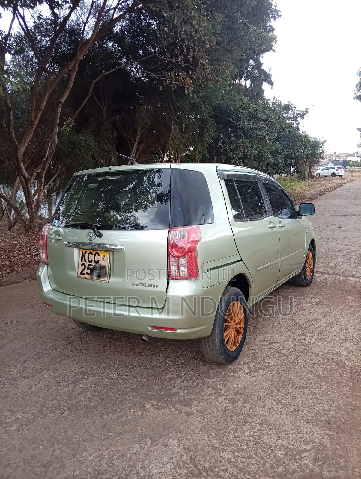 Toyota Raum 2008 Green