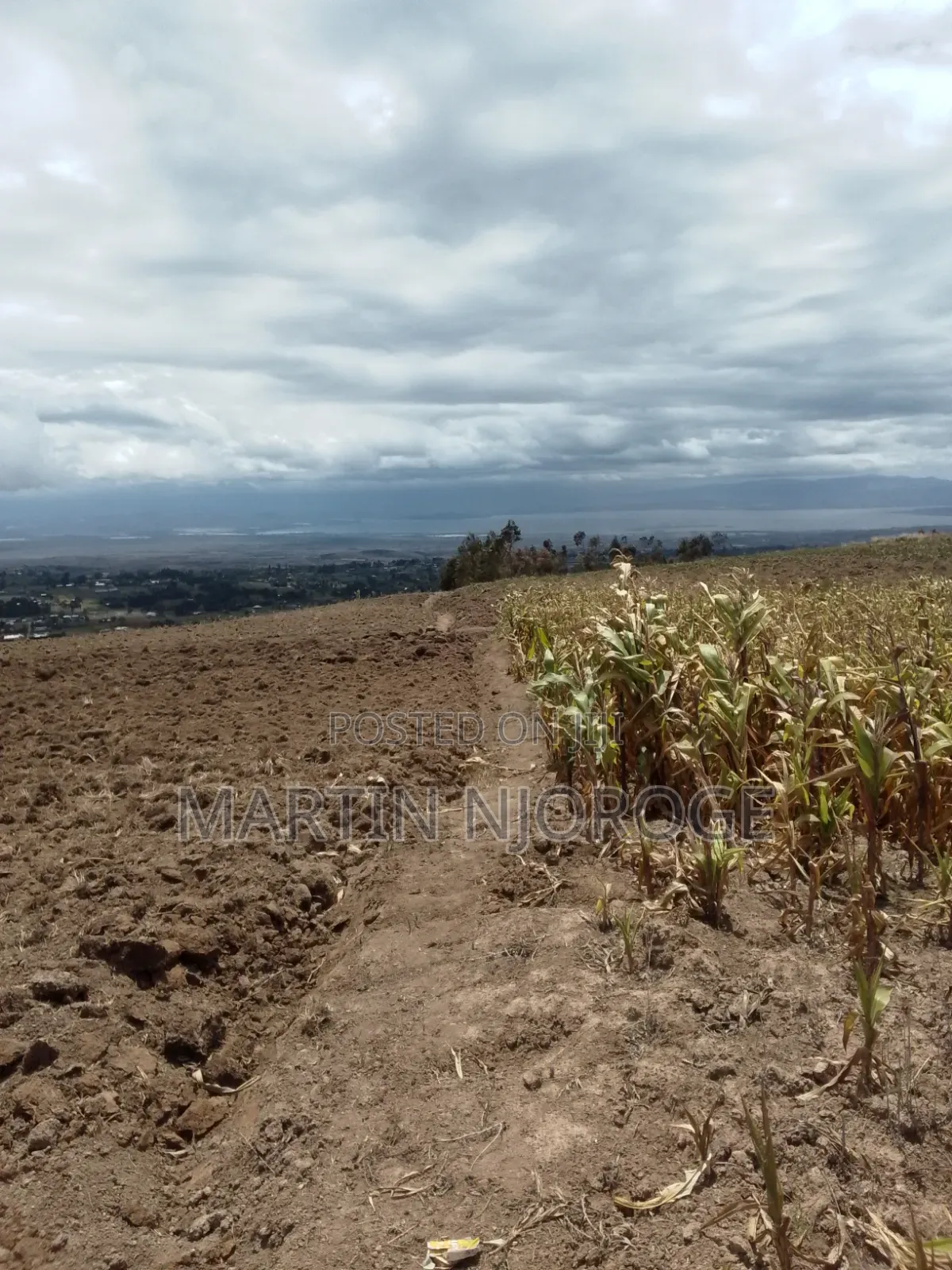 2 Acres Upper Kinungi, Rift Valley View