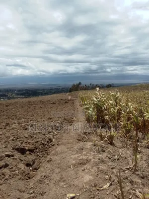 2 Acres Upper Kinungi, Rift Valley View