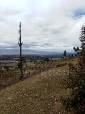 2 Acres Upper Kinungi, Rift Valley View