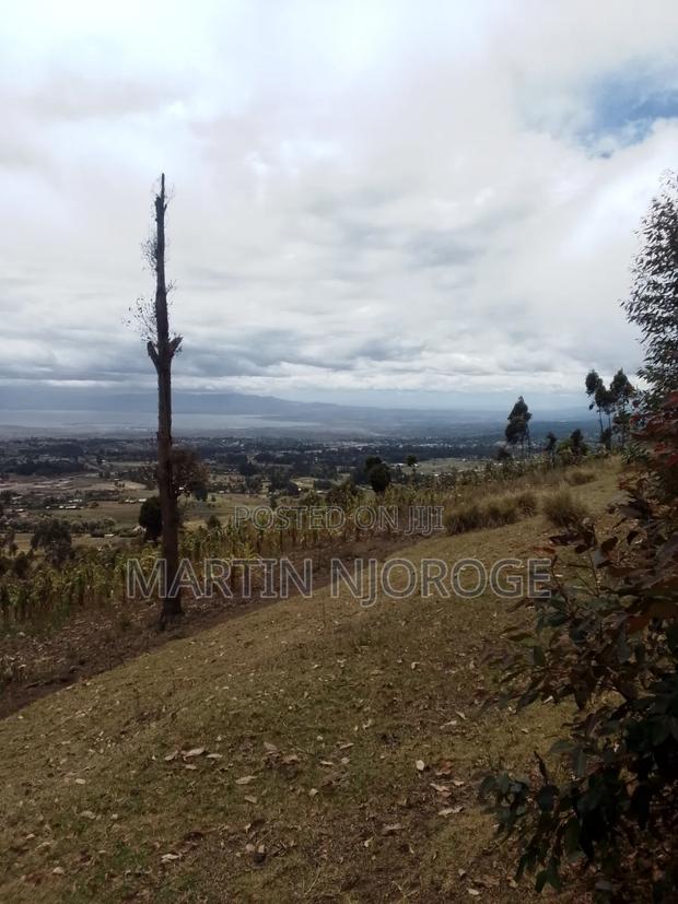 2 Acres Upper Kinungi, Rift Valley View - thumbnail 2