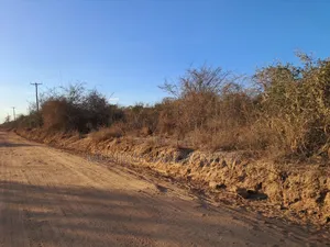 Embu ,Mutuobare Agricultural Farmland Next to Busy Road