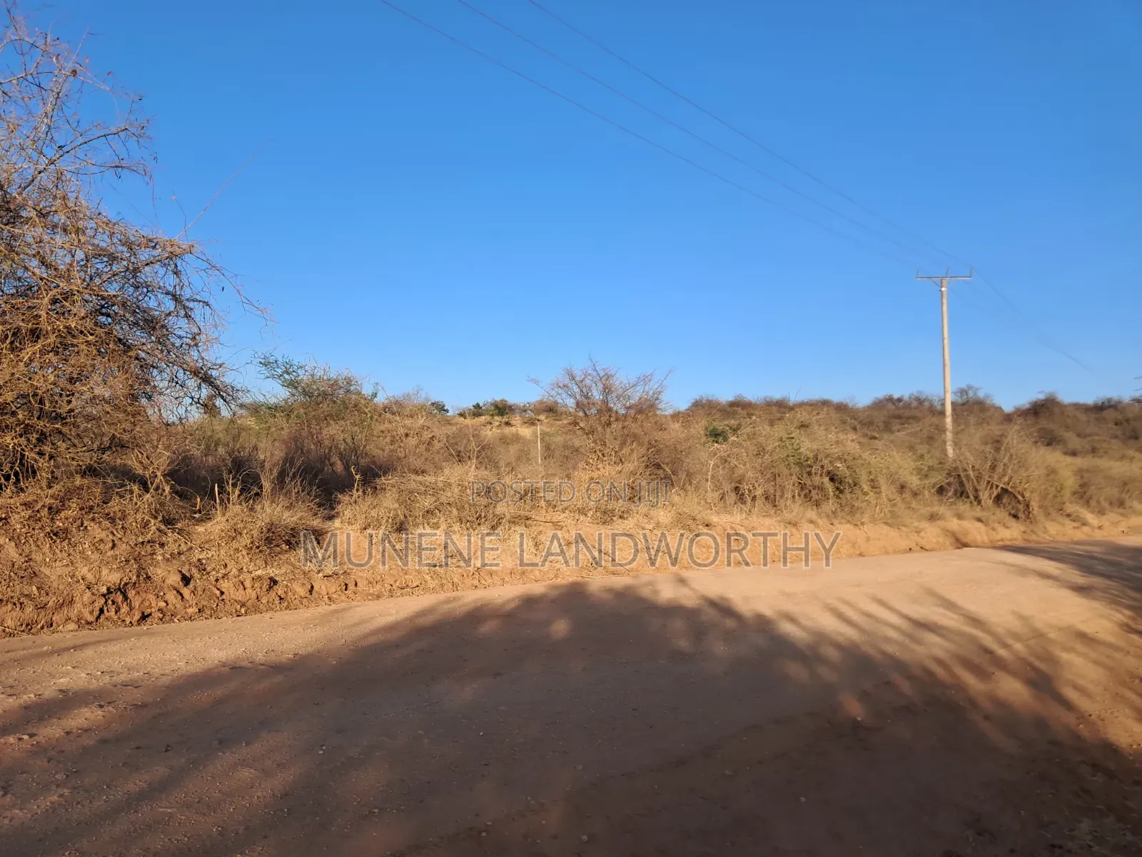 Embu ,Mutuobare Agricultural Farmland Next to Busy Road