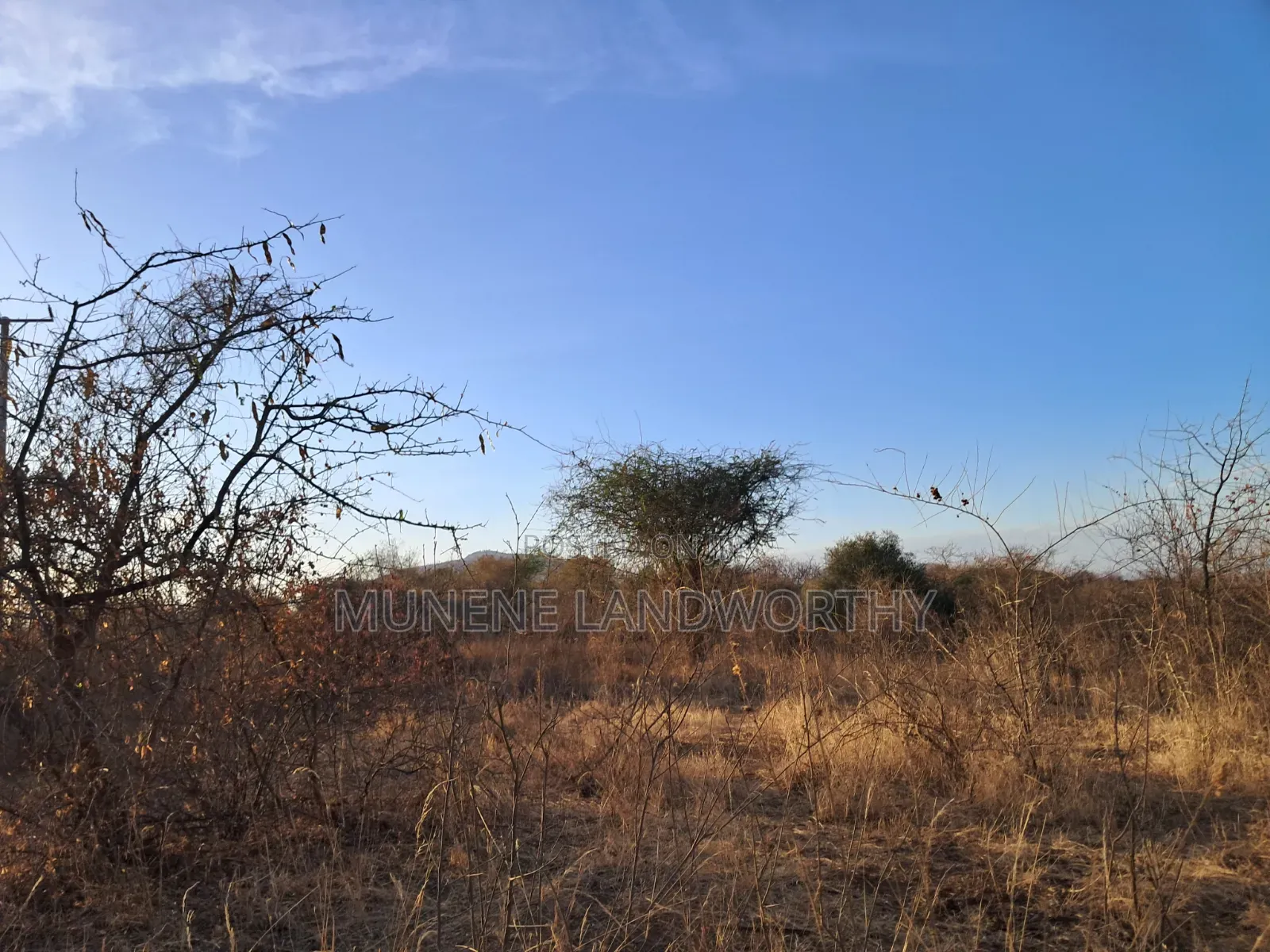 Embu ,Mutuobare Agricultural Farmland Next to Busy Road