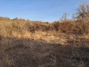Embu ,Mutuobare Agricultural Farmland Next to Busy Road