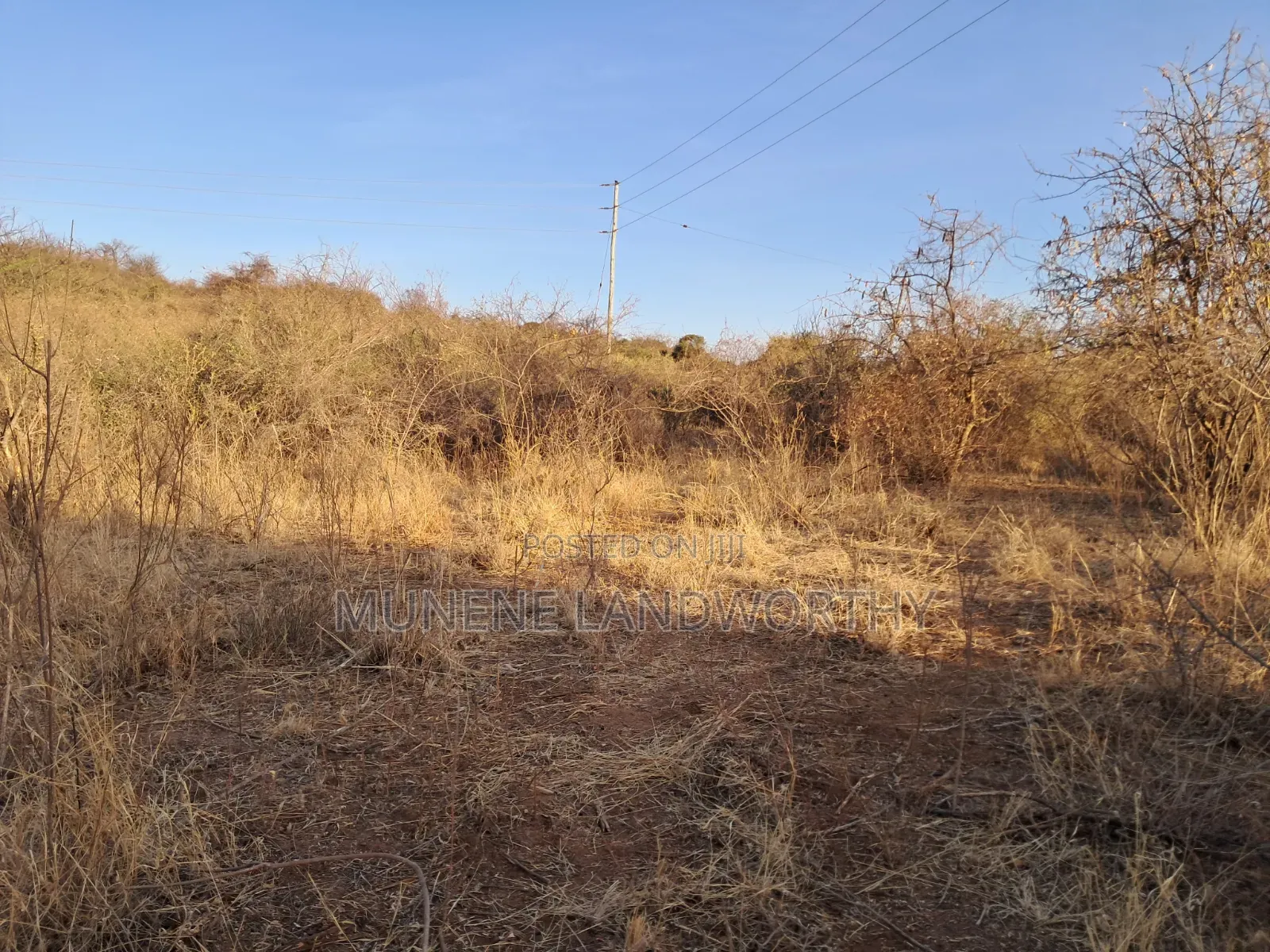 Embu ,Mutuobare Agricultural Farmland Next to Busy Road