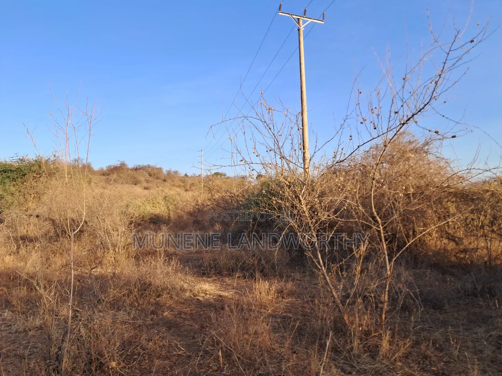 Embu ,Mutuobare Agricultural Farmland Next to Busy Road