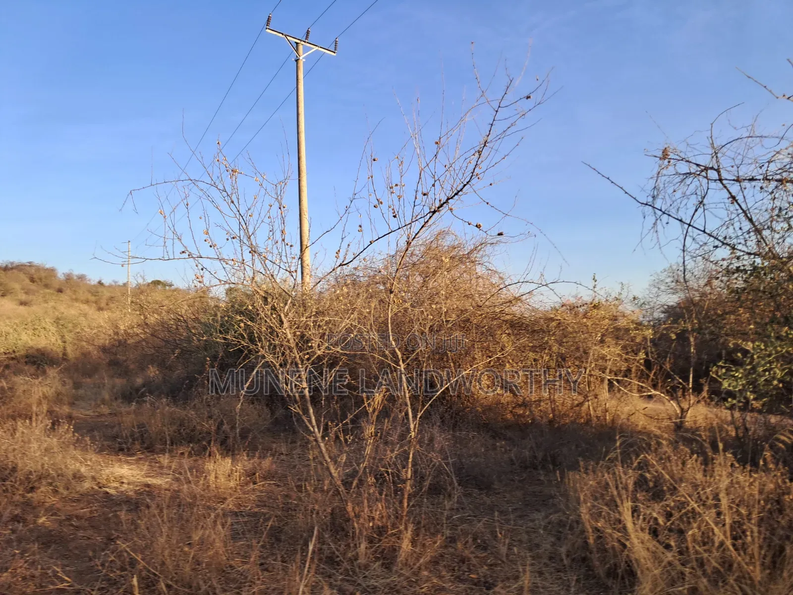 Embu ,Mutuobare Agricultural Farmland Next to Busy Road