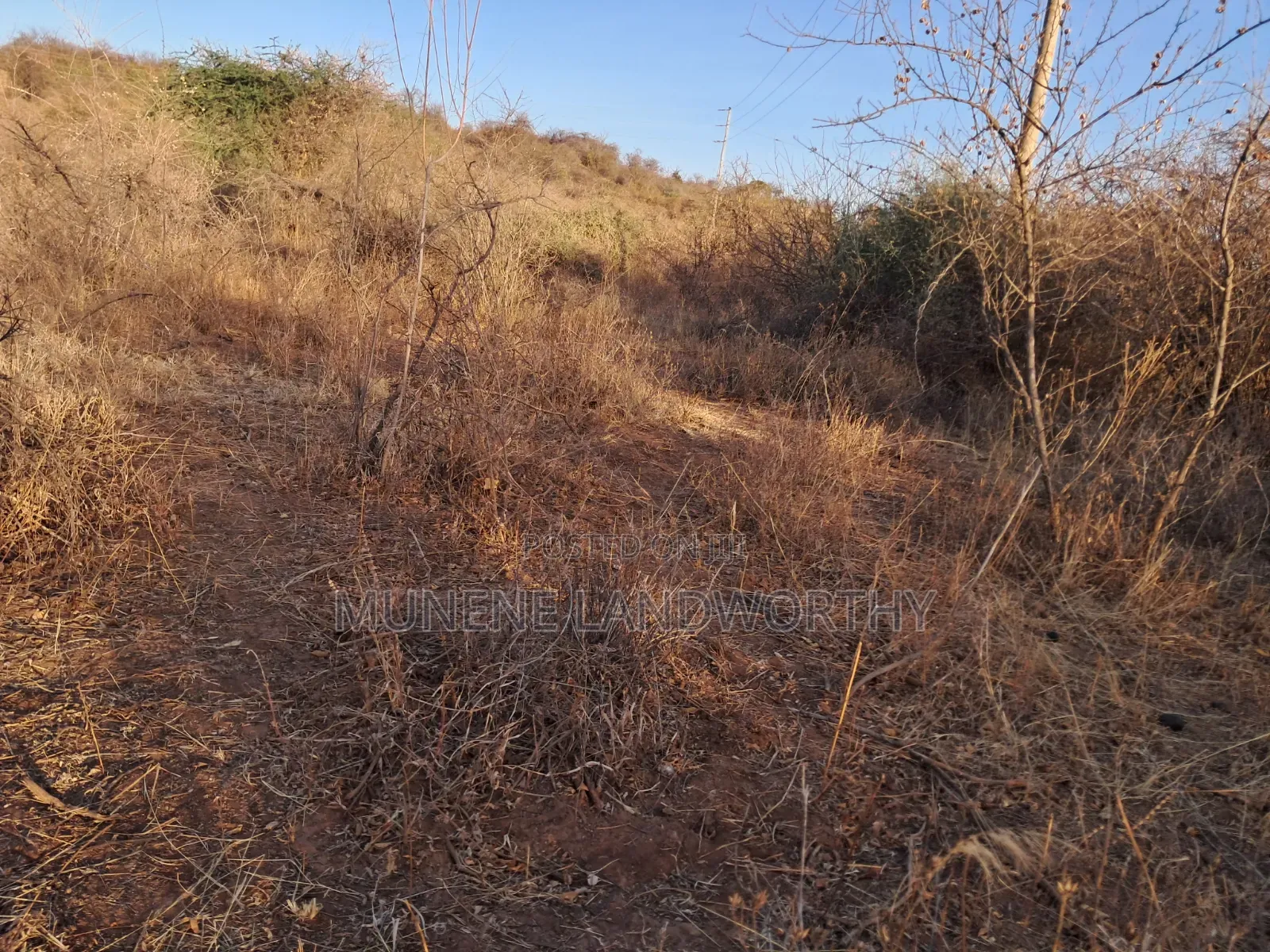 Embu ,Mutuobare Agricultural Farmland Next to Busy Road