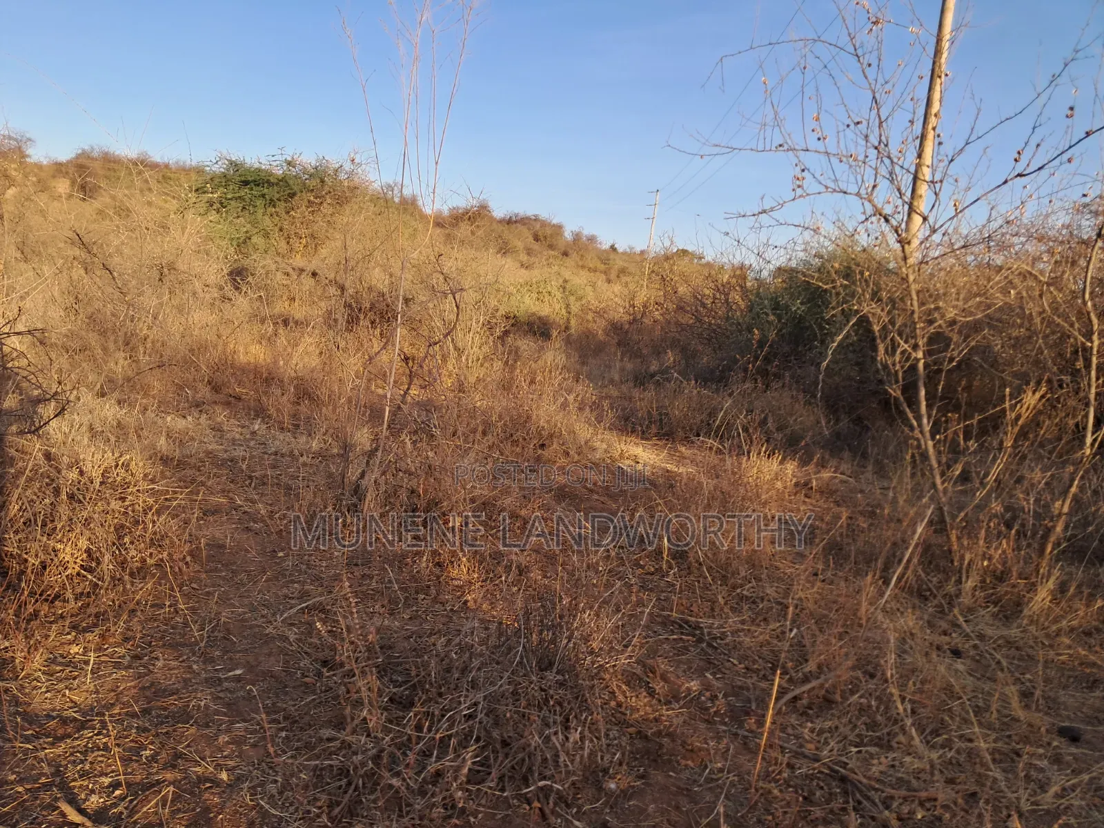 Embu ,Mutuobare Agricultural Farmland Next to Busy Road