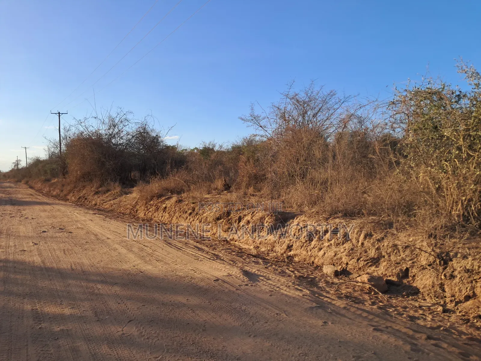 Embu ,Mutuobare Agricultural Farmland Next to Busy Road