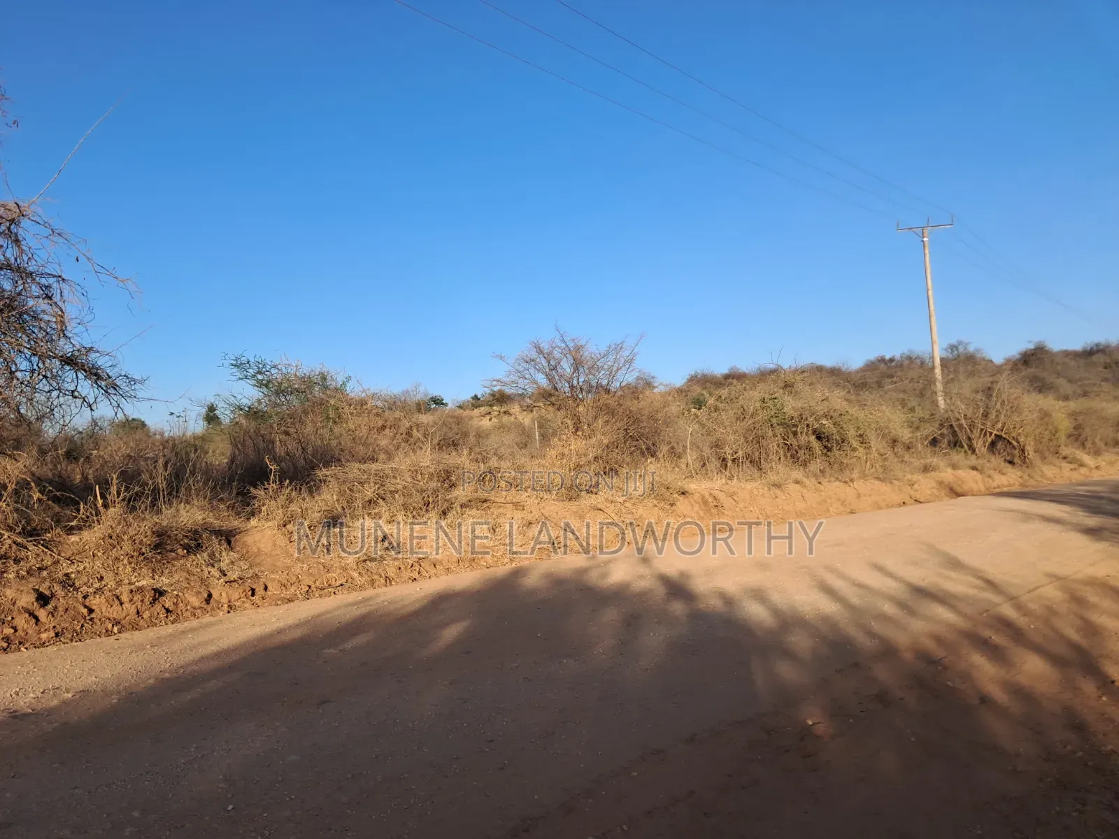Embu ,Mutuobare Agricultural Farmland Next to Busy Road