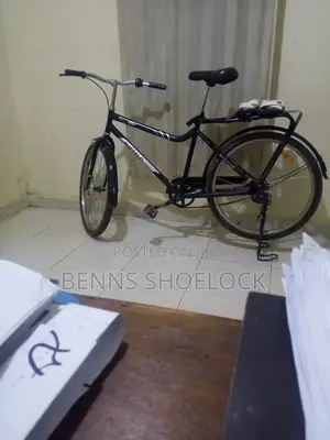 Buffalo Bicycle