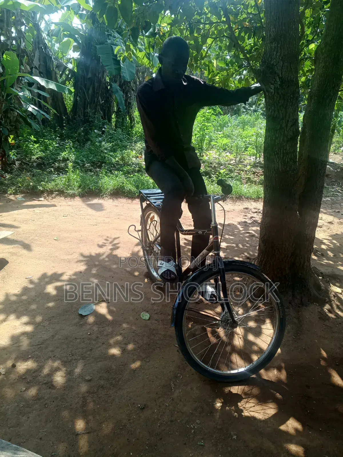 Buffalo Bicycle
