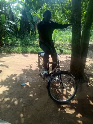 Buffalo Bicycle
