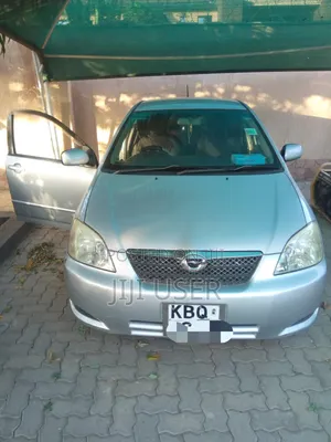 Toyota Corolla RunX 1.5 X AWD 2004 Silver