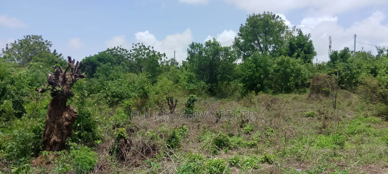 Plot for Sale