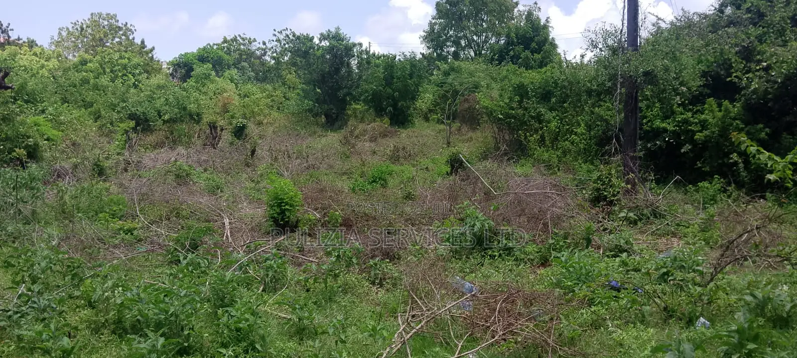 Plot for Sale