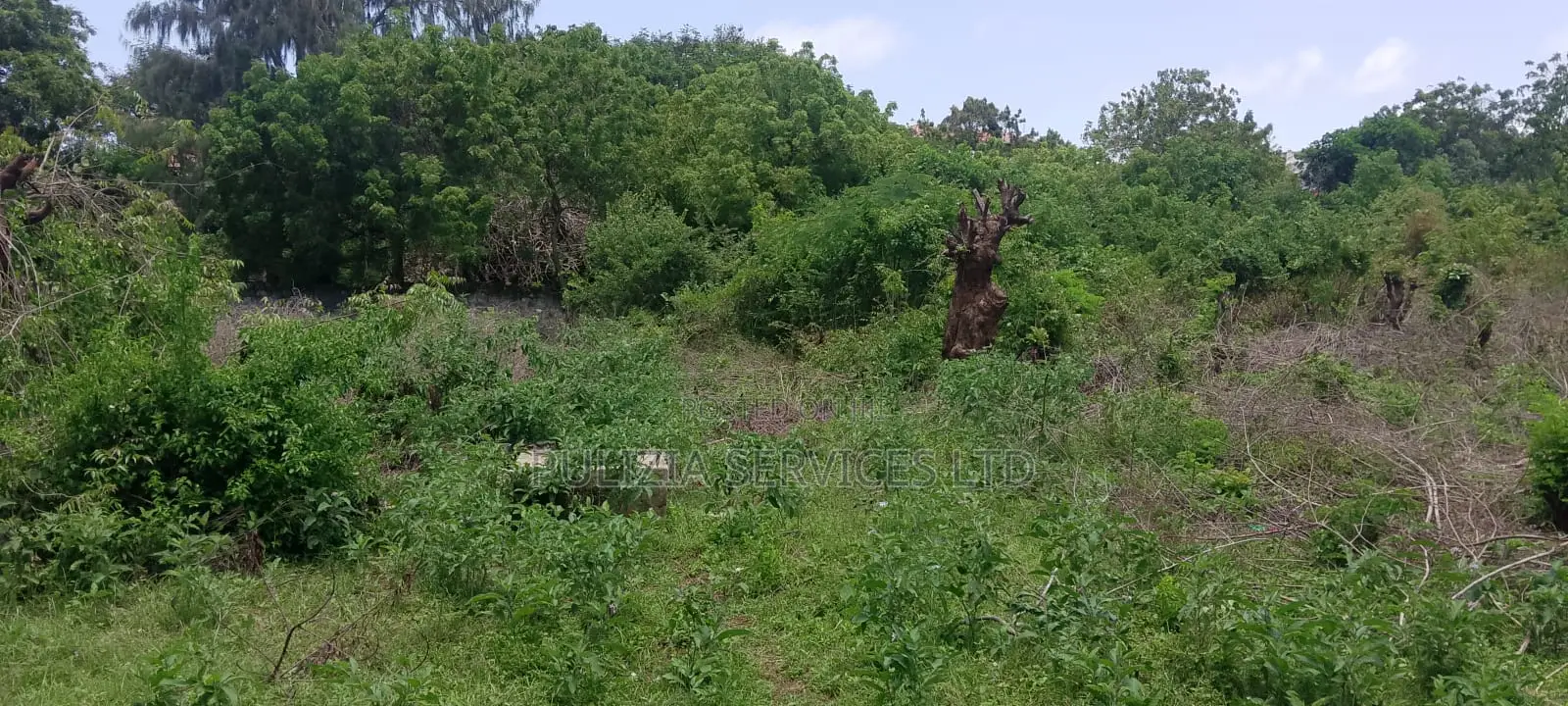 Plot for Sale