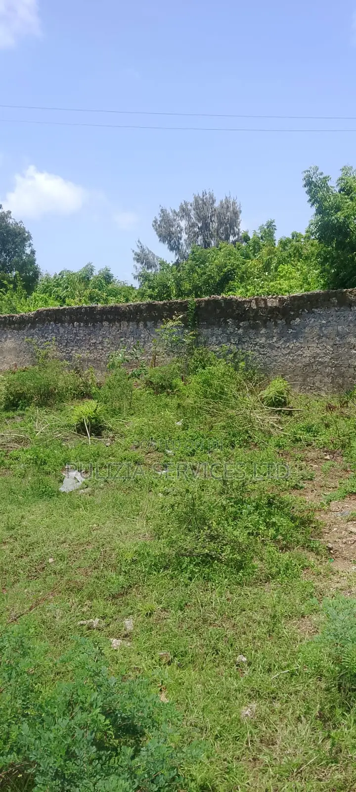 Plot for Sale