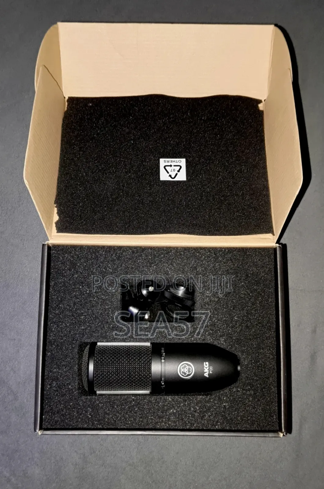 AKG P120 Condenser Microphone + Free Shock Mount