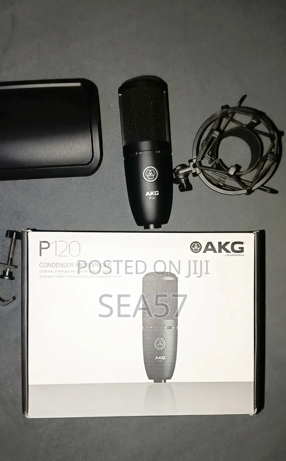 AKG P120 Condenser Microphone + Free Shock Mount