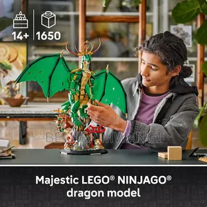 Ninjago the Guardian Dragon in Kenya