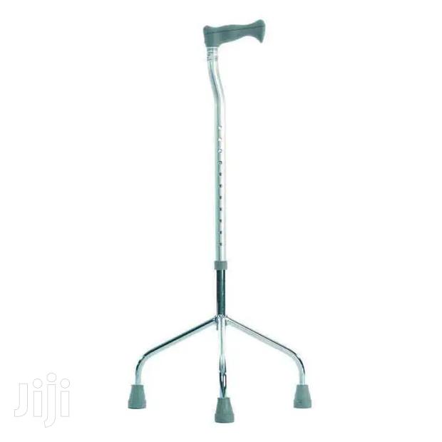 Tripod Walking Stick - main view