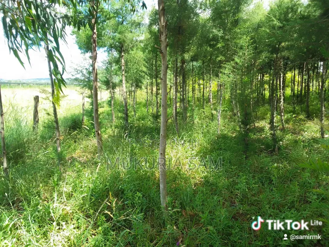 Half Acre Piece of Land Rangau