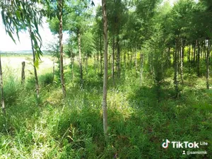 Half Acre Piece of Land Rangau