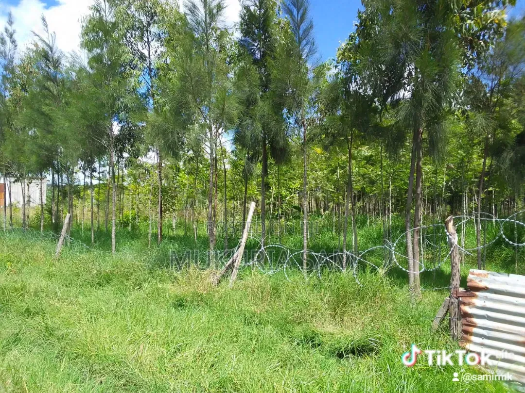 Half Acre Piece of Land Rangau