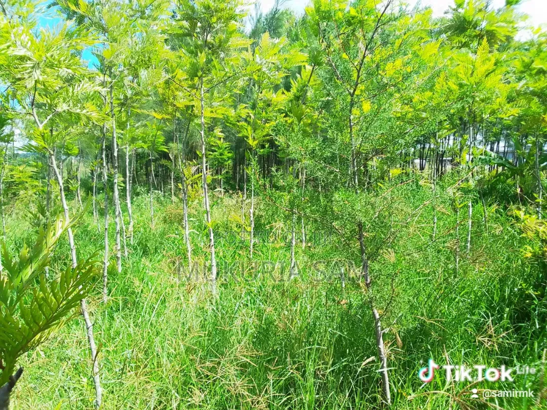 Half Acre Piece of Land Rangau