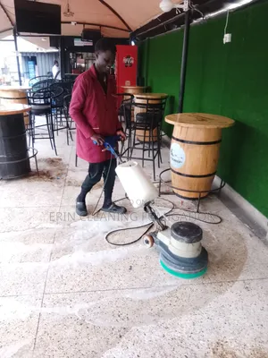 Cleaning of Sofas and Houses