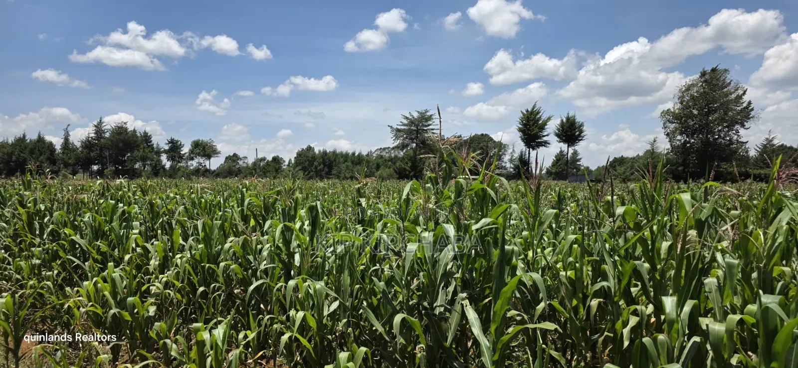 2bdrm Farm House in Plateau, Kaptagat for sale