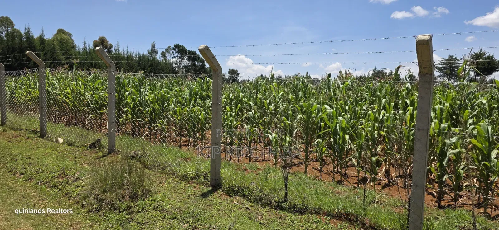 2bdrm Farm House in Plateau, Kaptagat for sale