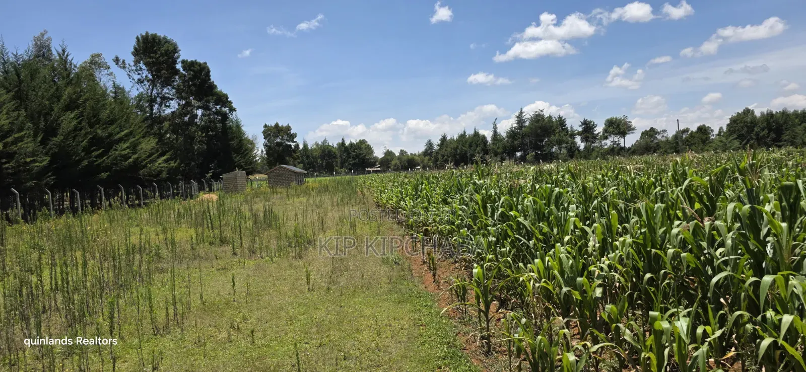 2bdrm Farm House in Plateau, Kaptagat for sale