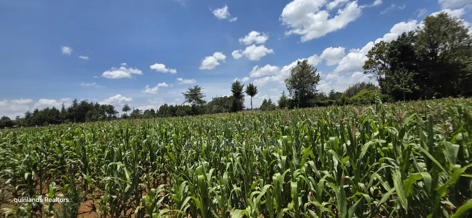 2bdrm Farm House in Plateau, Kaptagat for sale