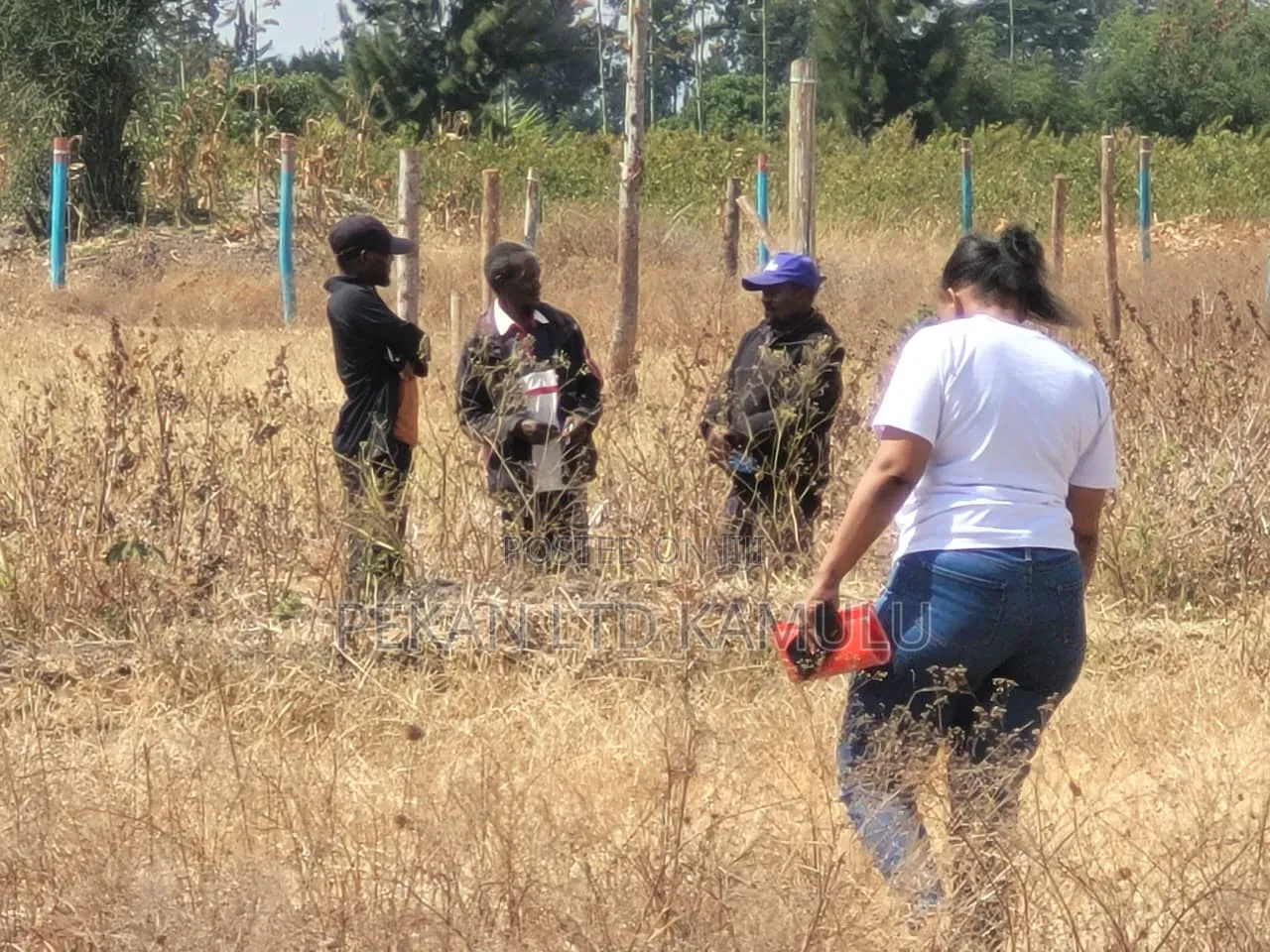 Doctors and Policemen Prefer Malaa