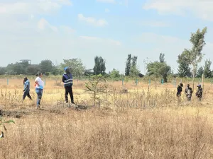 Doctors and Policemen Prefer Malaa