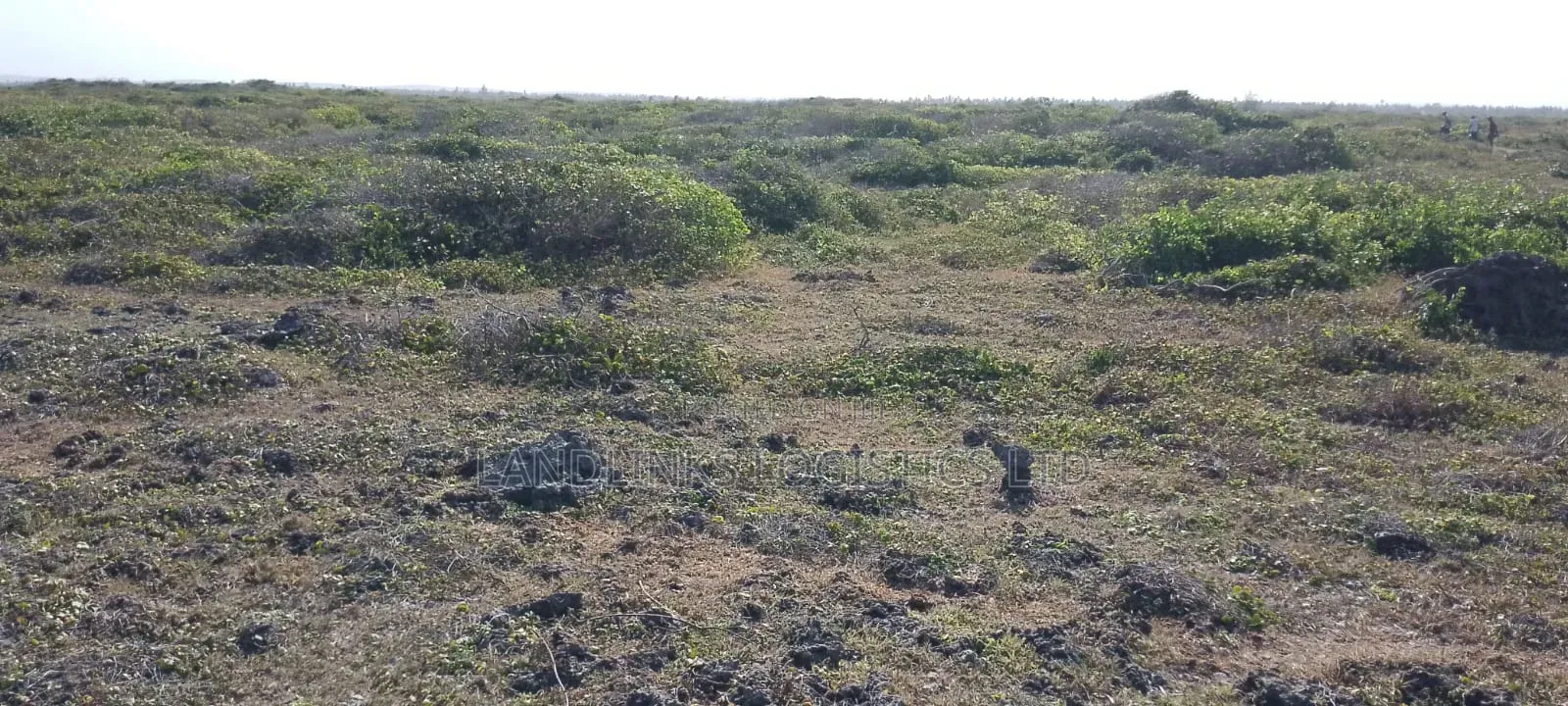 Malindi Beach Plot , 1st Row, 5 Acres at 8M 9 Acres at 5M