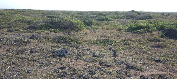 Malindi Beach Plot , 1st Row, 5 Acres at 8M 9 Acres at 5M - thumbnail 2