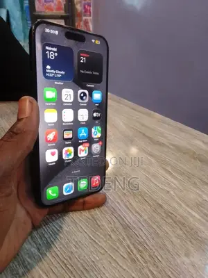 Apple iPhone 15 Pro Max 256 GB Black